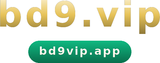 bd9.vip logo